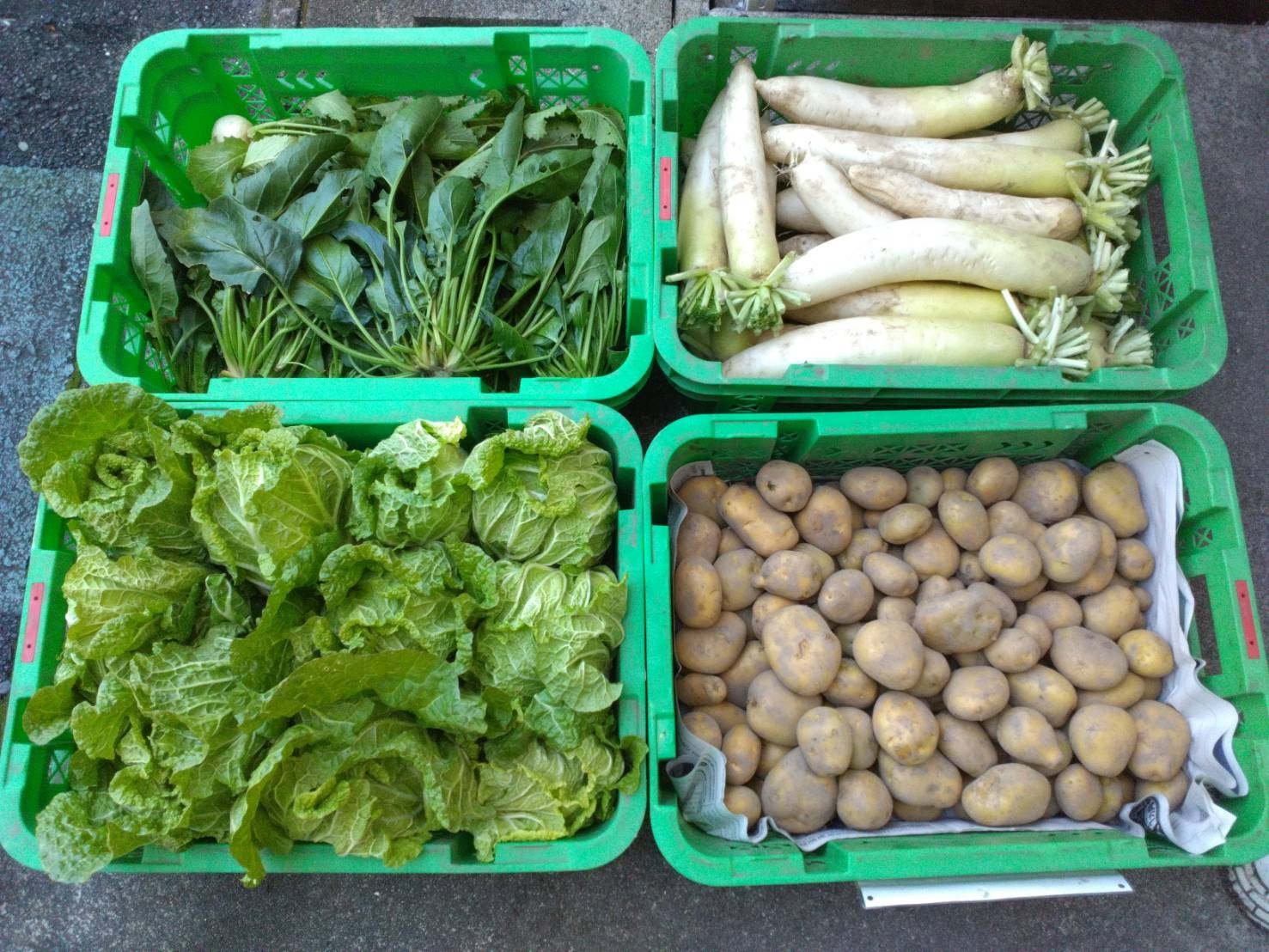 自社農園で収穫された季節の野菜